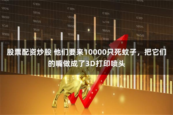 股票配资炒股 他们要来10000只死蚊子，把它们的嘴做成了3D打印喷头