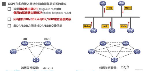 湖科大微课堂笔记 p50 53 路由选择协议概述 路由信息协议RIP 开放最短路径优先OSPF 边界网关协议BGP的基本工作原理